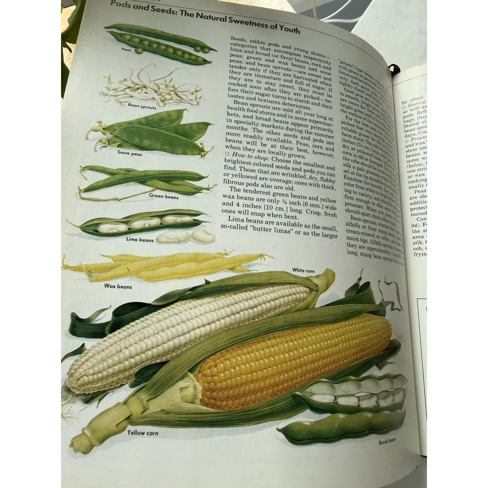 Vintage Cookbook The Good Cook Series - Vegetables  Time Life Cookbook 1979